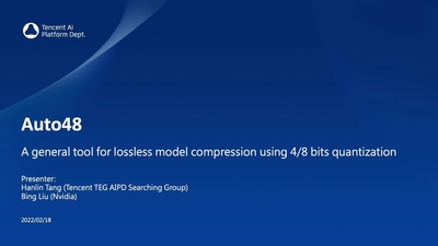 Auto48：采用 Int4/Int8 混合精度于自动模型压缩及加速的通用框架 Auto48: A General Framework for Automatic Model Compression and Acceleration using Int4/Int8 Mixed Precision