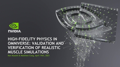 High-Fidelity Physics in Omniverse: Validation and Verification of Realistic Muscle Simulations