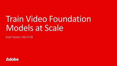 Train Video Foundation Models at Scale